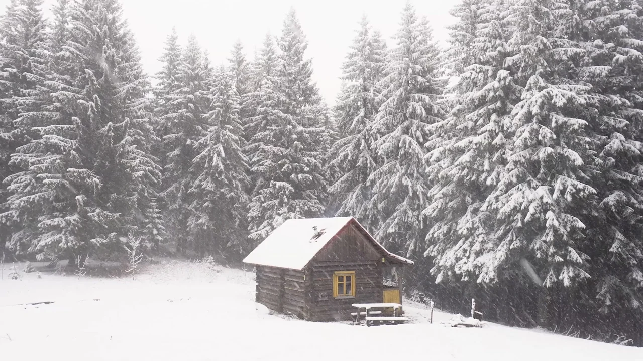 Bosque y cabaña en un paisaje de nieve, fotograma del reel